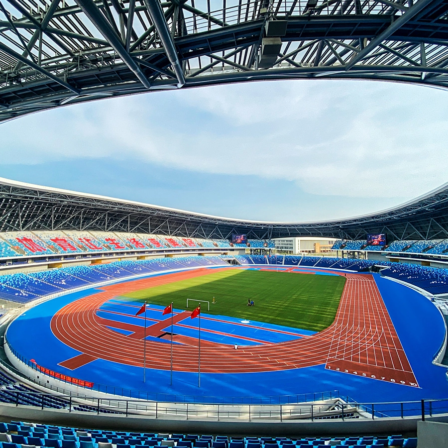 p2_900_900.jpg