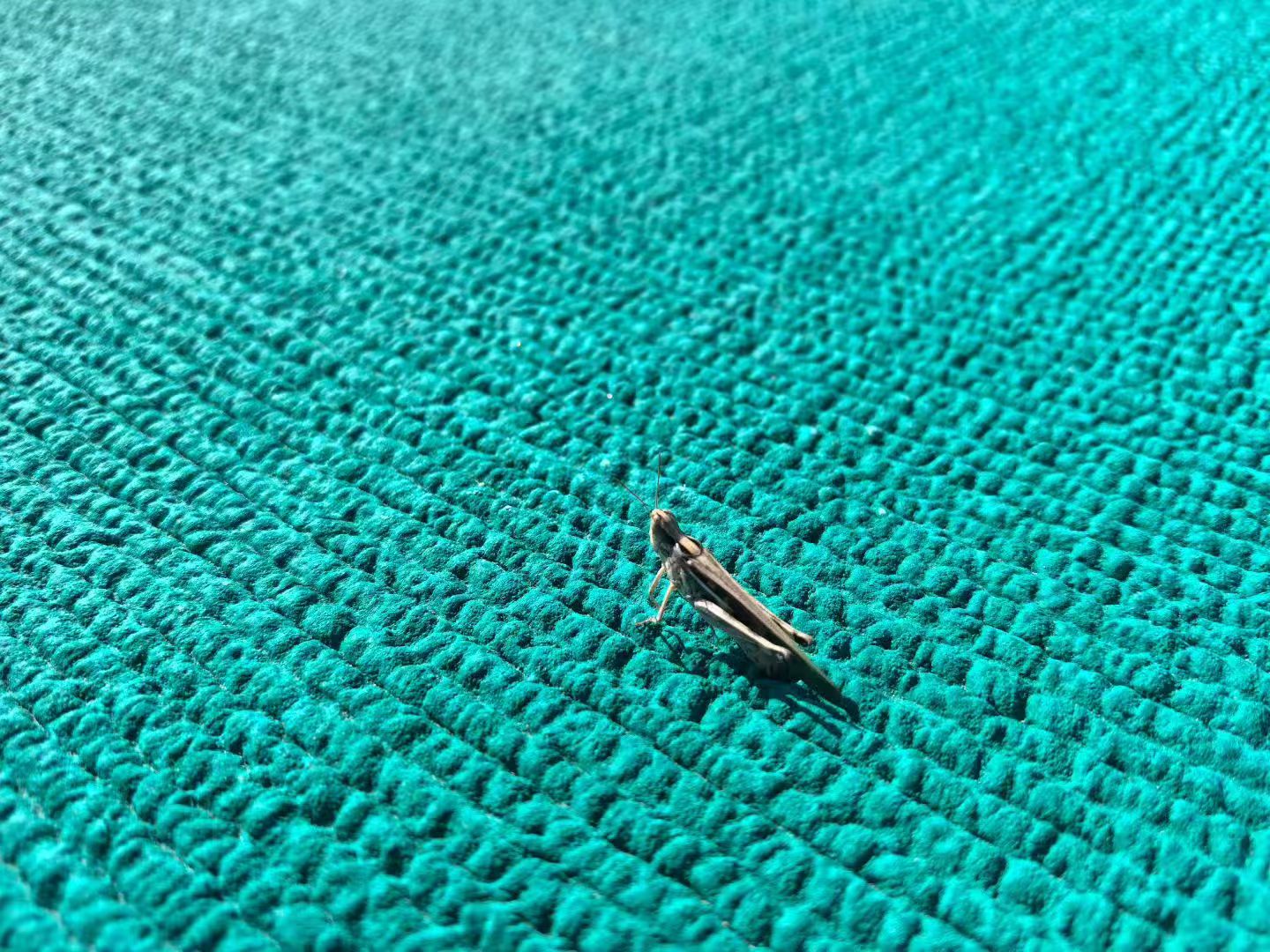 微信图片_20260320110435_7_3