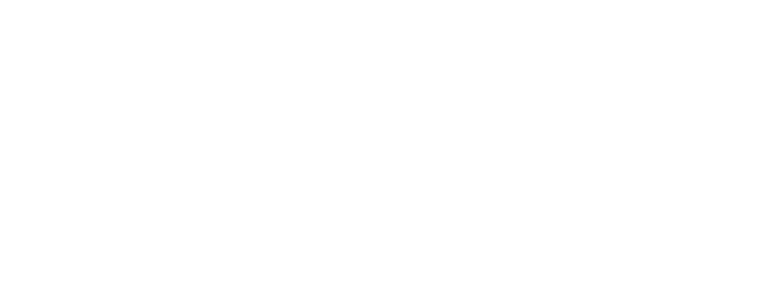 Huadong Track Logo